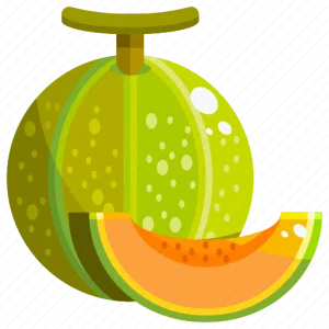 13-melon-512