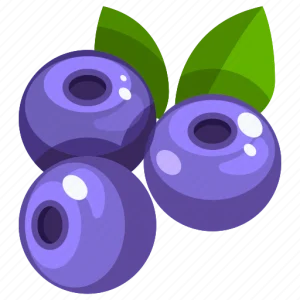24-blueberry-512